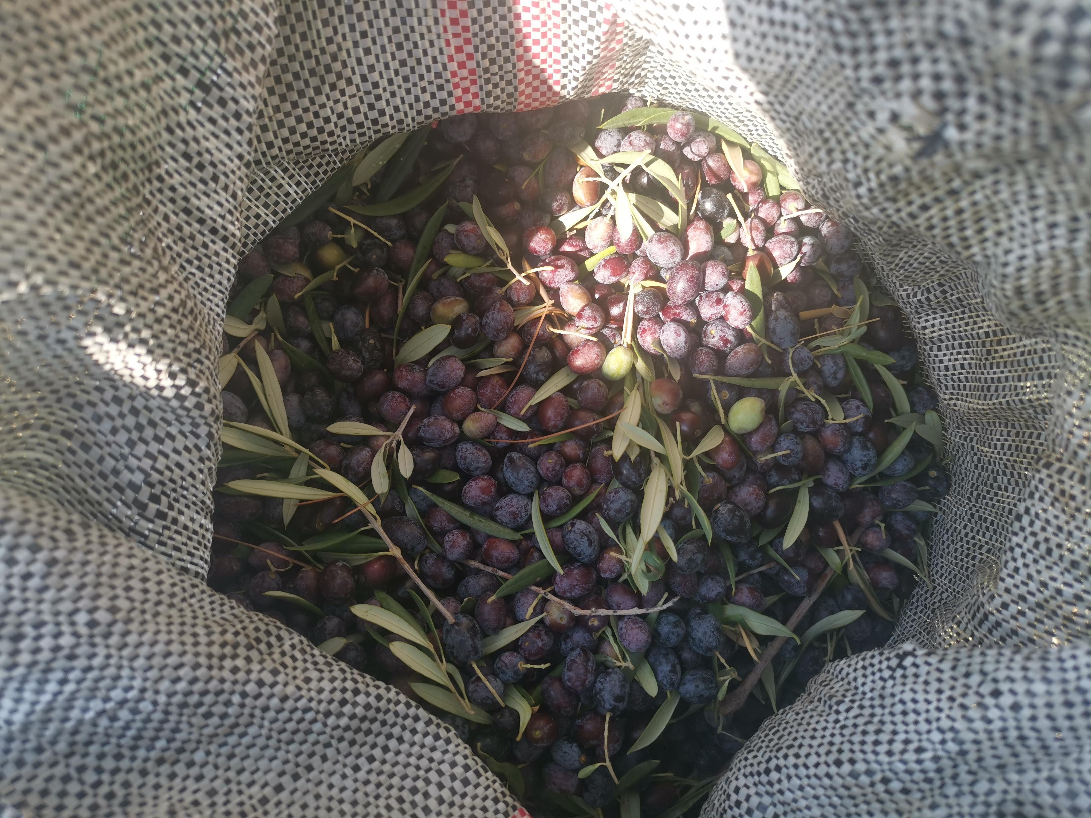 Contrôle qualité et mise en bouteille